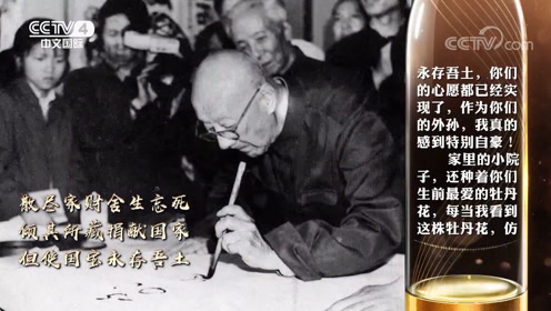 清贫的悲伤 腾讯视频