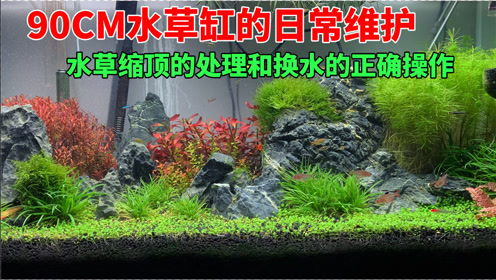 腾讯视频