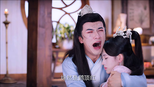 芸汐传:芸汐亲手取出心头血,求七少救龙非夜,七少肝肠寸断毒蛊恶变