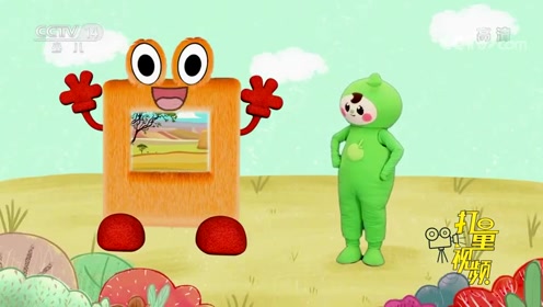 当当当当:和托托一起学习画鸵鸟小小智慧树