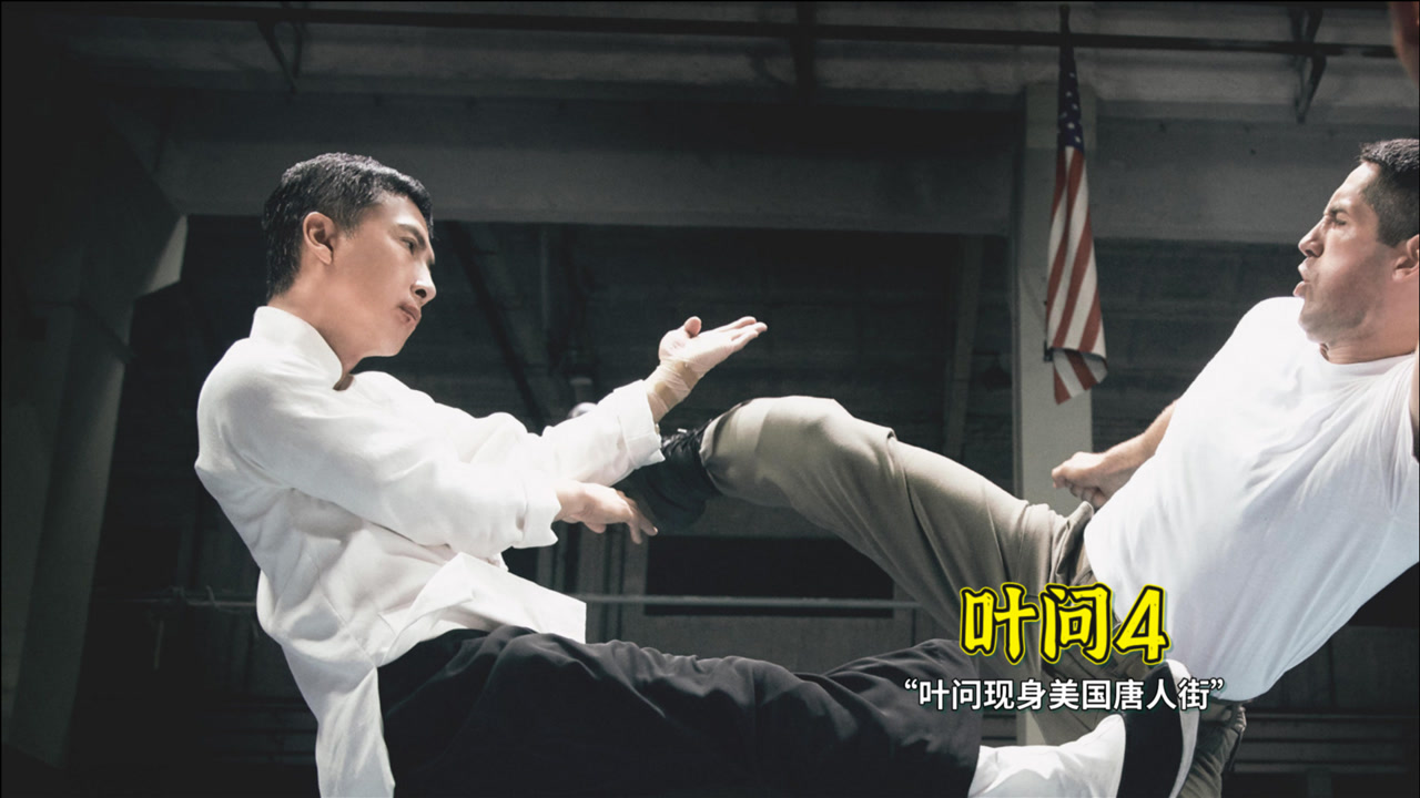 叶问4：完结篇(2019年甄子丹主演的电影)_搜狗百科