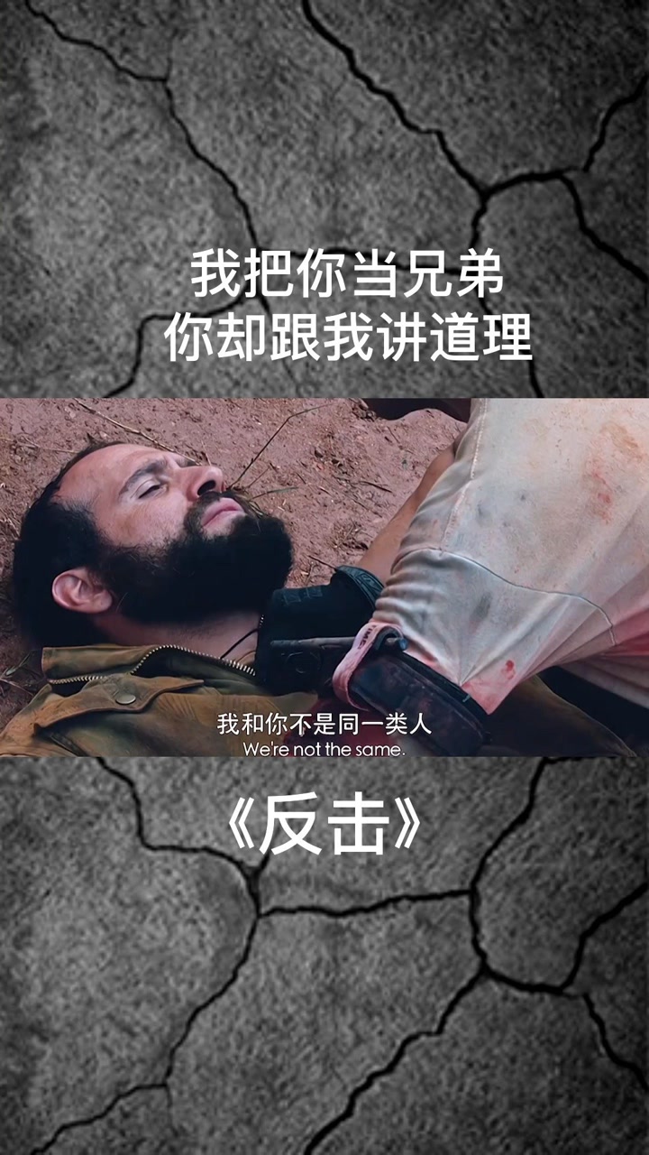 我把你当兄弟,你却跟我讲道理? #反击  #影视