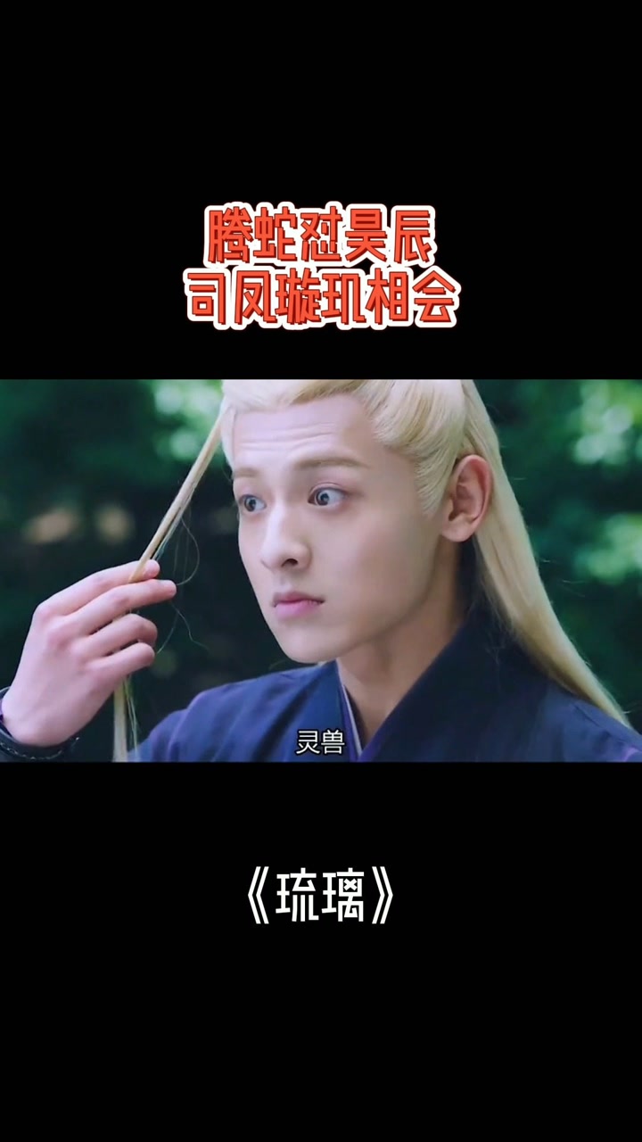 腾蛇怼昊辰,司凤璇玑相会