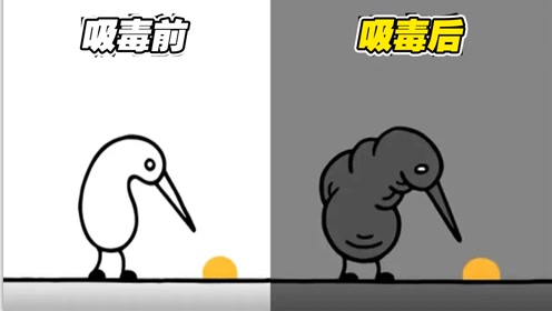 动画短片《金块》:吸毒,就是这么一步步上瘾的!