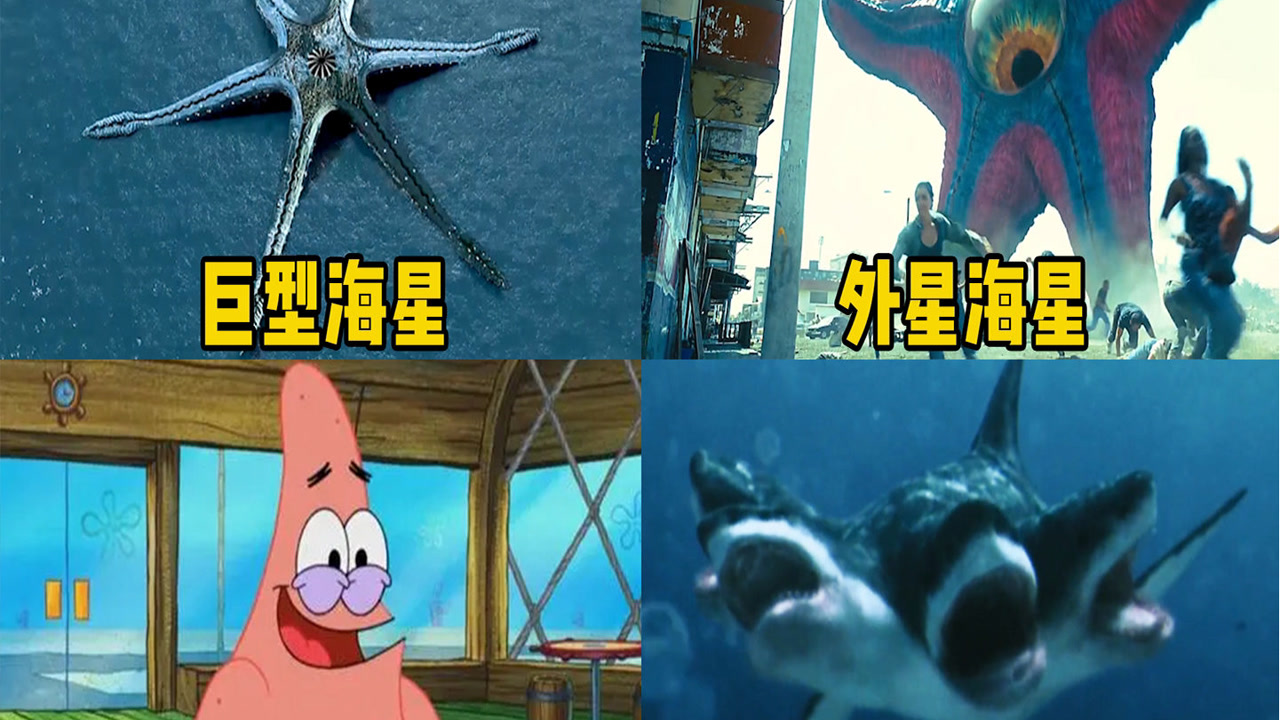 四部影片中的奇葩海星,哪个更厉害?外星海星能在陆地上行走