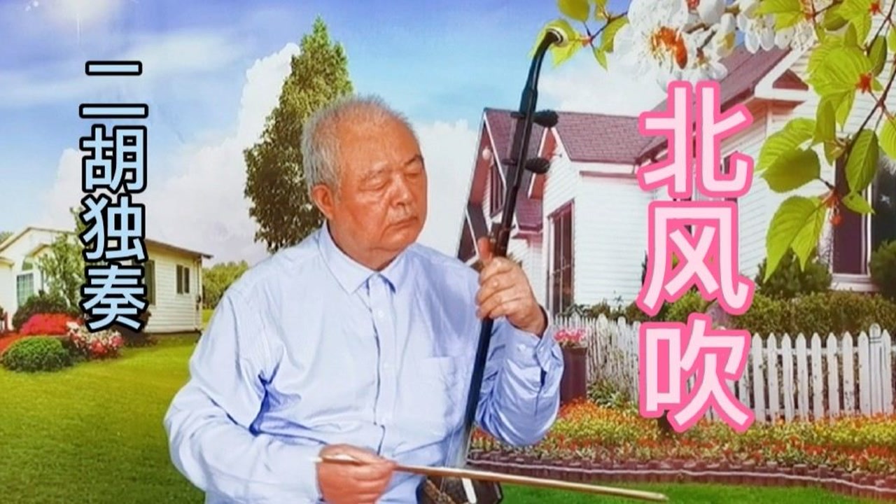 二胡大师王国潼《喜看稻田千层浪》大师出手不同凡响!