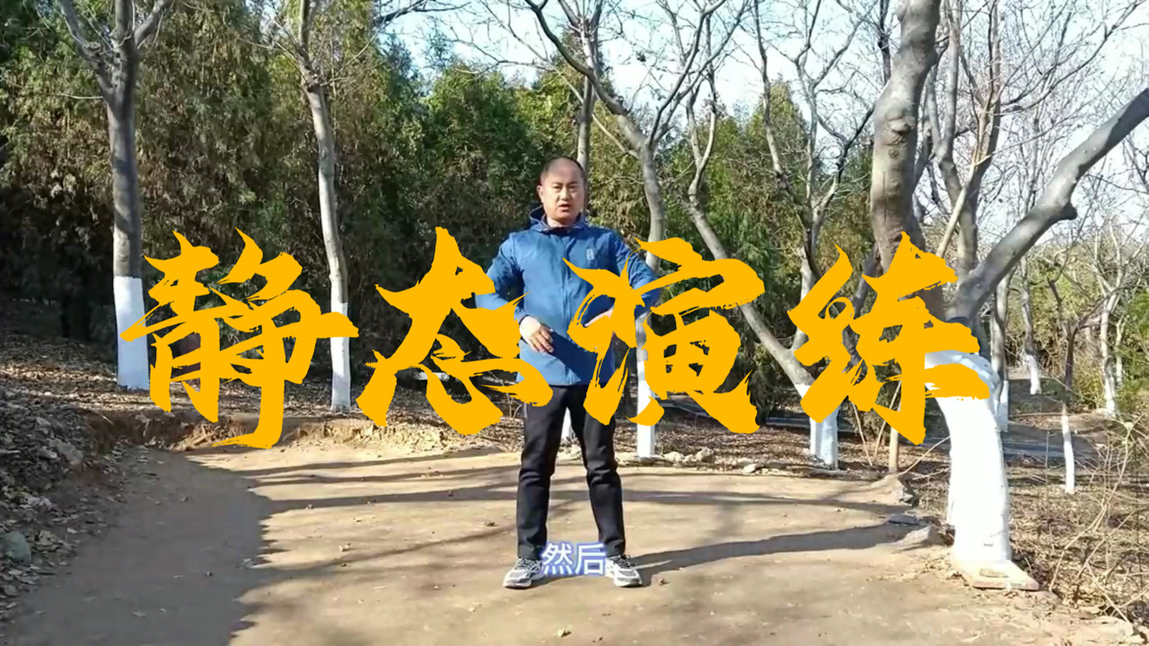 卧虎功静态动作演练,非常简单,你也来试试吧