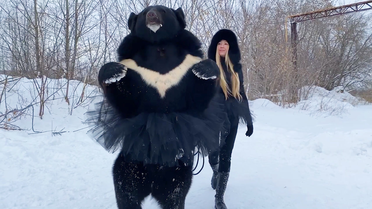 战斗民族女孩和熊一起跳芭蕾舞?穿上纱裙的小熊太妖娆了