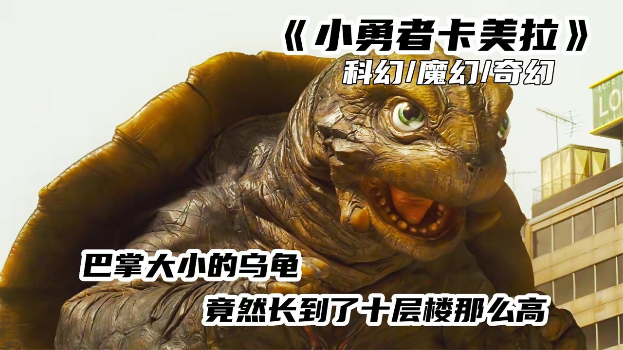 男孩捡到一只乌龟,长大后拯救了世界《小勇者卡美拉》