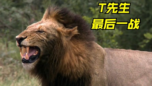 坏男孩雄狮联盟t先生最终之战,绝对的活出了雄狮的风采