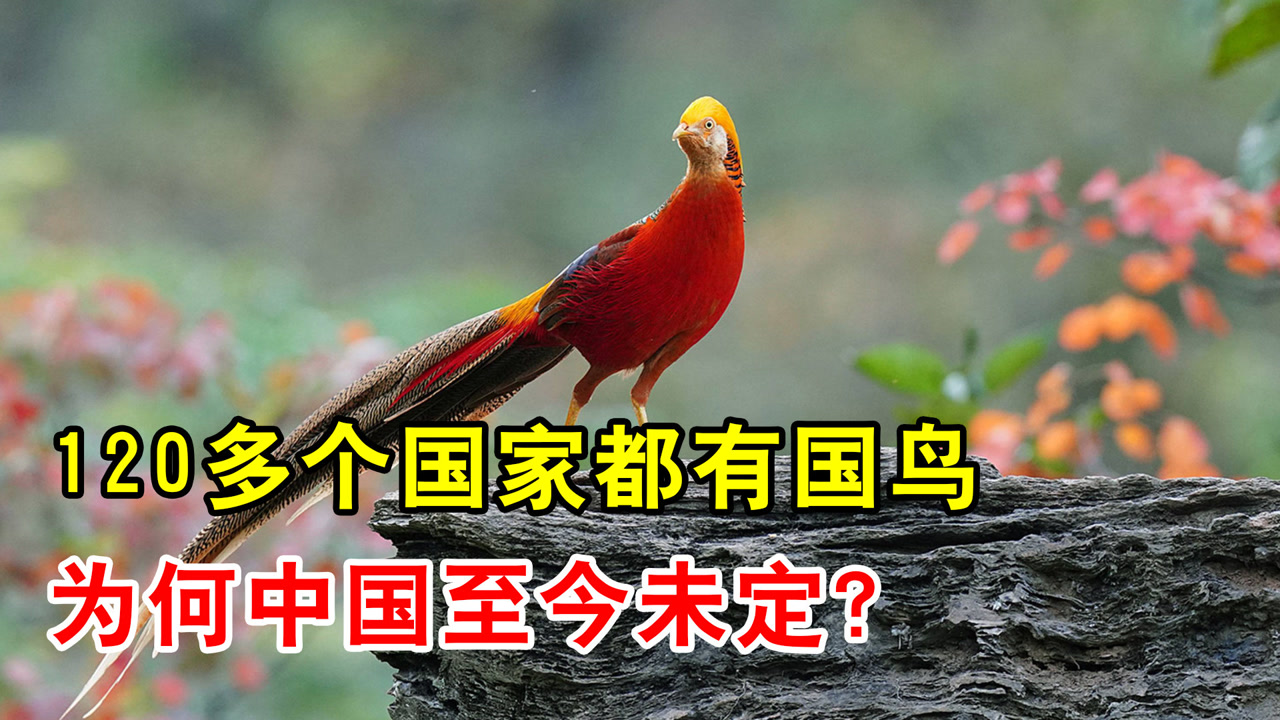 四川大學(xué)2010級軟件學(xué)院莊政茂_楚莊王蒞政三年成語_楚莊王蒞政三年