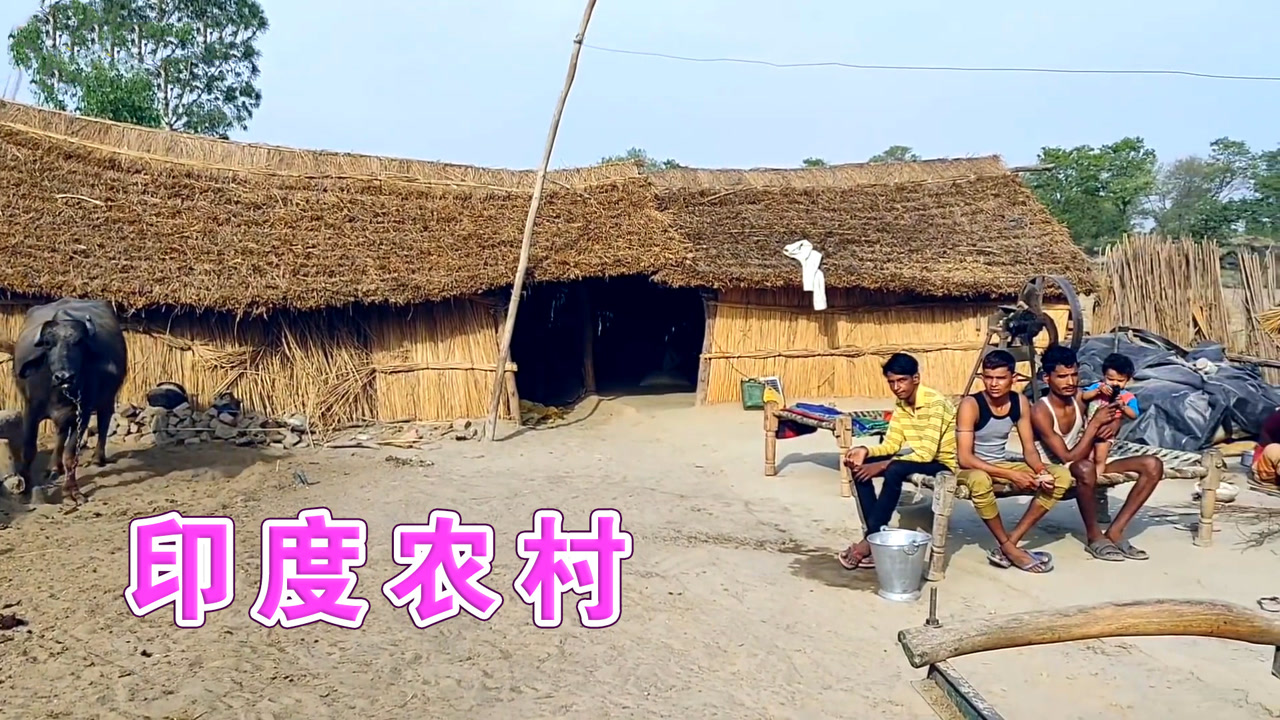 实拍印度贫困农村,人们住简陋茅屋,过着原始的生活!