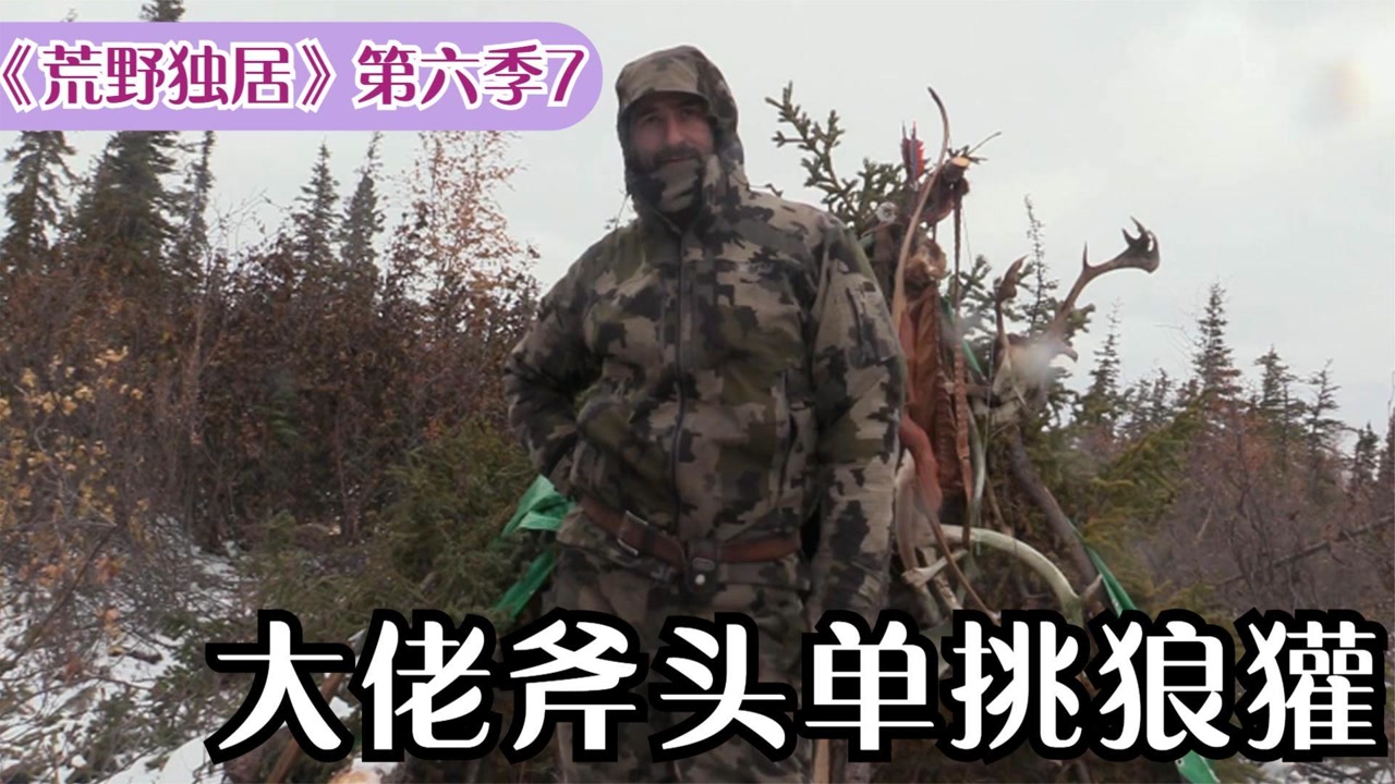 荒野生存100天,大佬斧头单挑狼獾,菜鸟到手的肥鱼却飞了