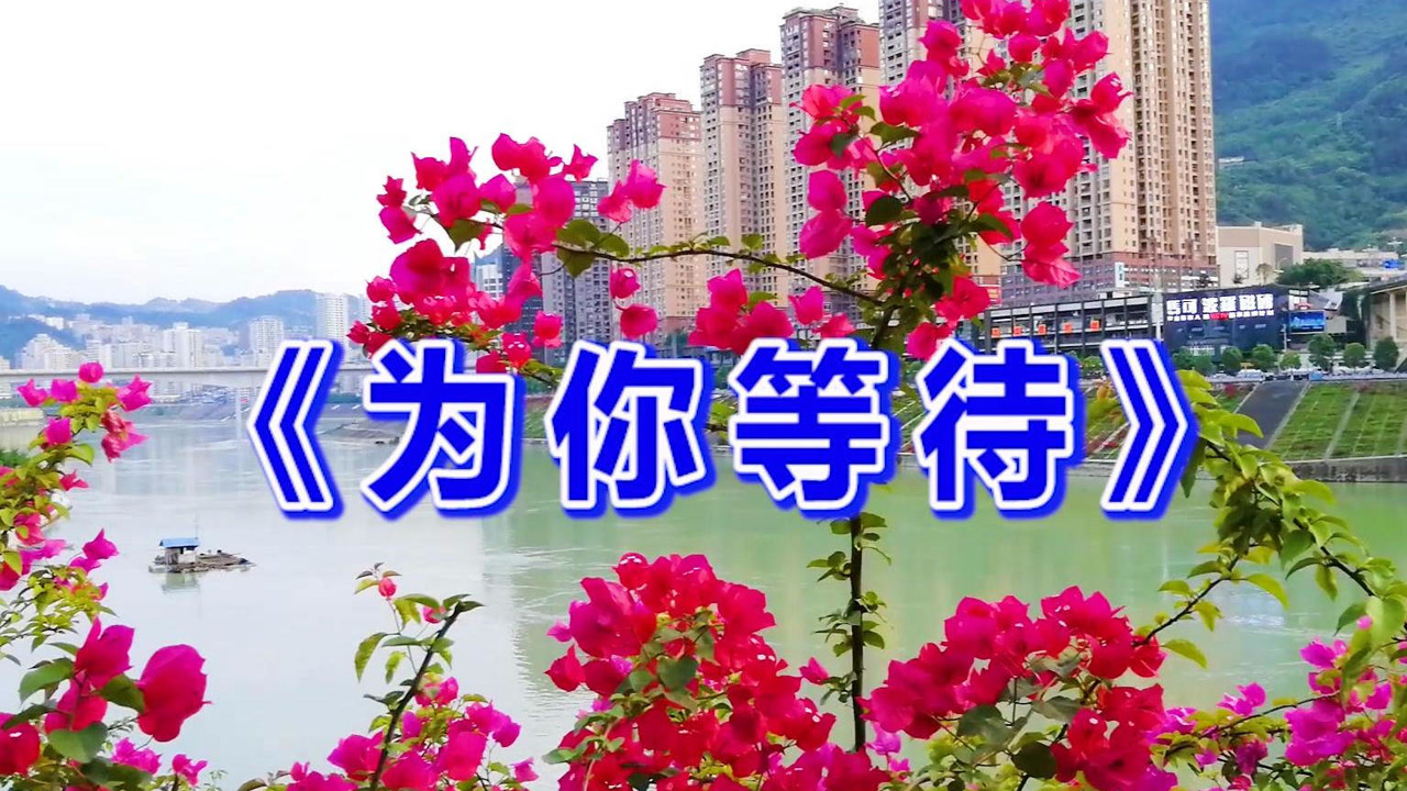 一首情歌《为你等待》天籁之音,好听到心碎,唱哭为爱受伤的人!