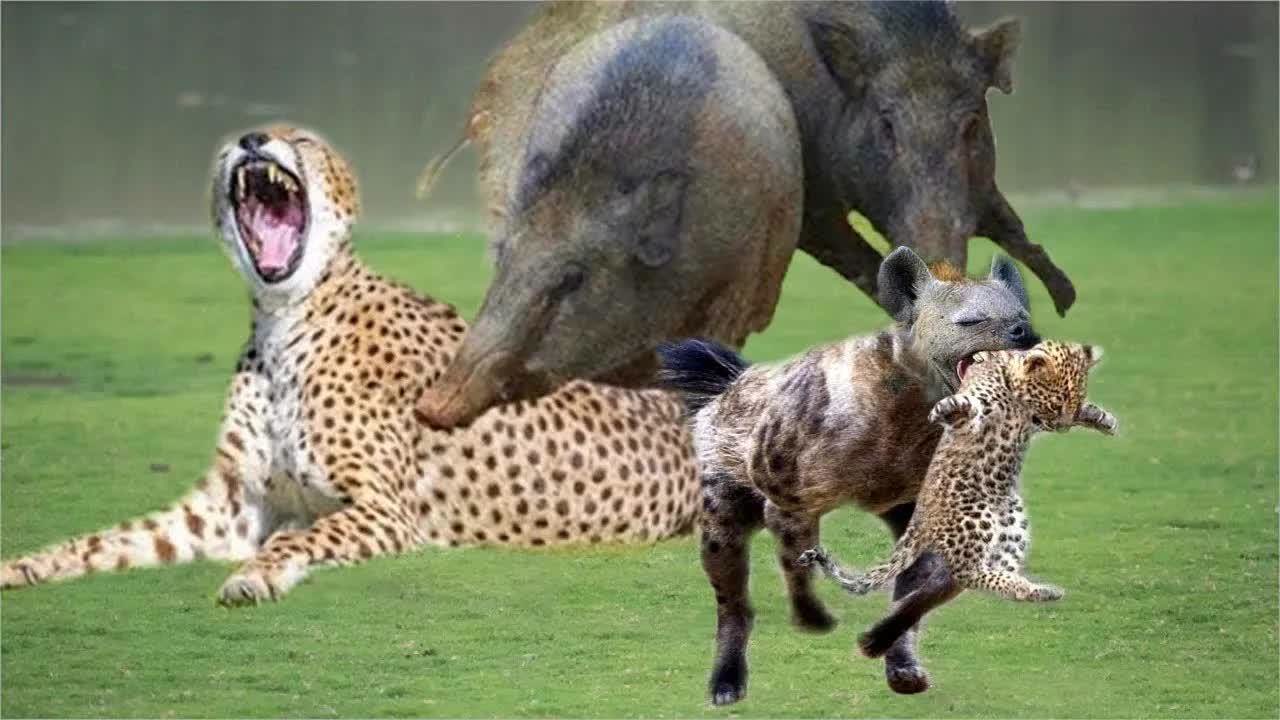 СС԰İѼ˱ɶ_СС԰Ѽ˱_СС԰