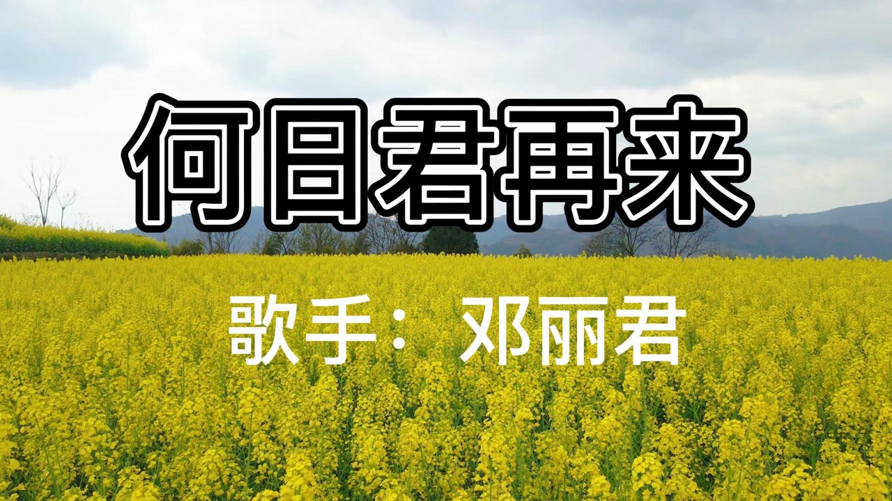 邓丽君《何日君再来》经典老歌,好听