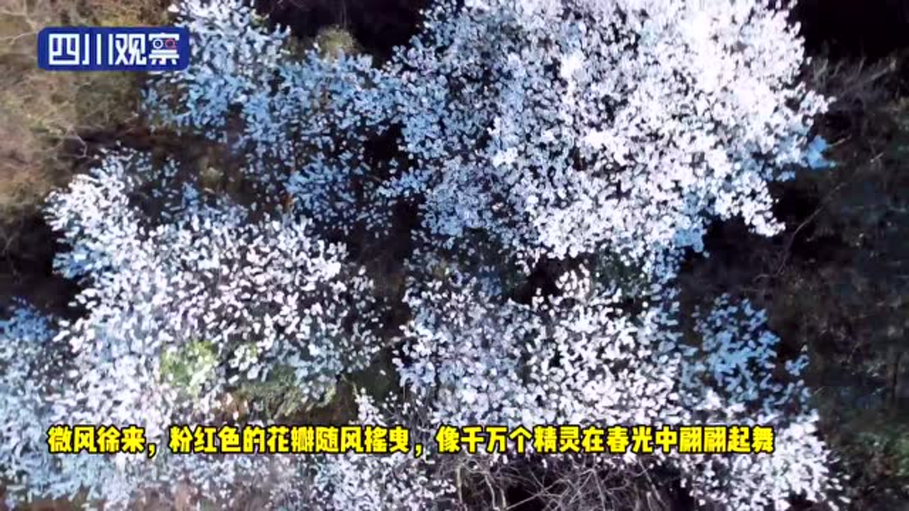 剑门关(天下第一天然隘口)_搜狗百科