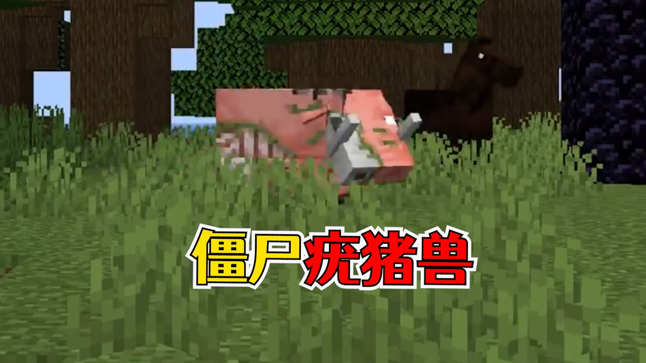我的世界:关于生物的"冷知识",难以生成的僵尸疣猪兽