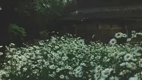 铃木清顺 腾讯视频