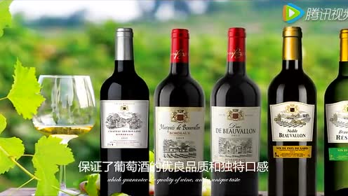 上传者:007时 间:2017-12-312017年博瓦隆红酒山西见面会1:16:09简 介