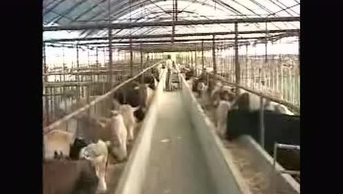 Em的应用 腾讯视频