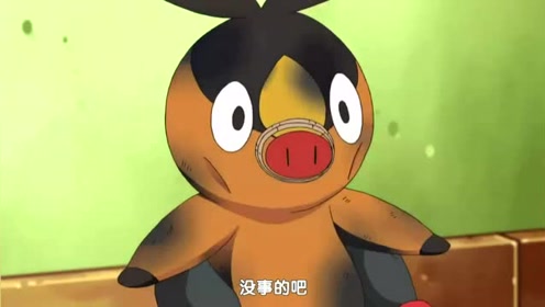 看小智用爱心拿下御三家,暖暖猪太可爱了,尤其最后掐脸的动作