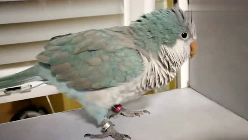 腾讯视频