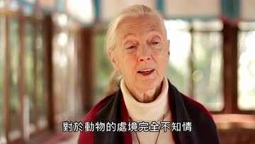 珍·古道尔博士：为什么我成为素食者？