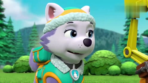 汪汪队立大功 小丽萌萌哒的送花技能