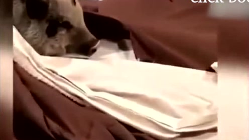 腾讯视频