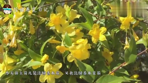 線香花火 腾讯视频