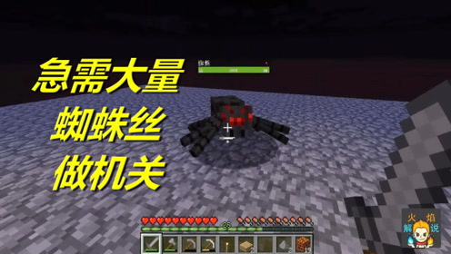 Minecraft 蜘蛛丝