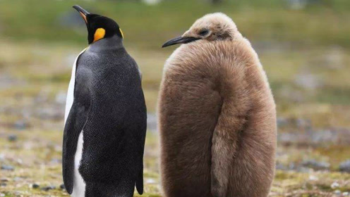 腾讯视频·知识频道