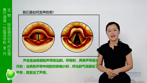 七年级生物下册第三章 人体的呼吸1.呼吸道对空气的处理