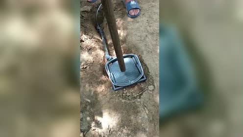 304不锈钢野猪套