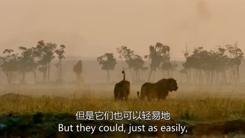 乐新王朝 腾讯视频