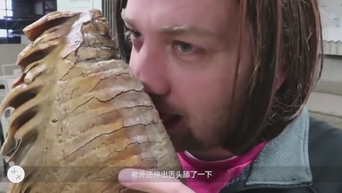 猛犸象牙化石 腾讯视频