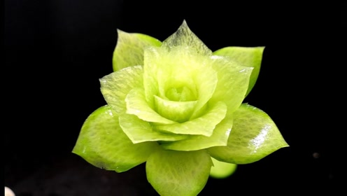 白萝卜雕刻花 腾讯视频