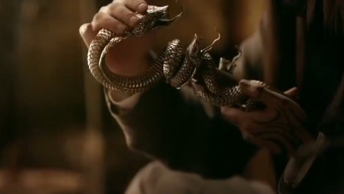 莽山寻蛇记 腾讯视频