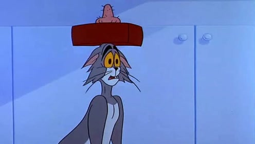 猫和老鼠:汤姆头上的包被杰瑞越敲越大,汤姆都哭了,跪下来求杰瑞!