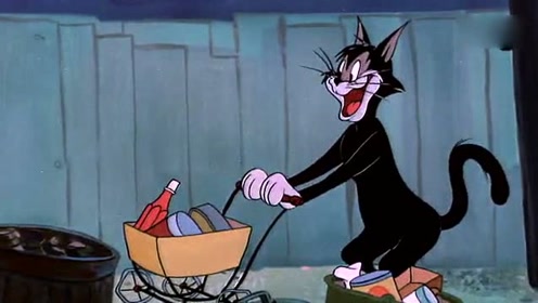 黑猫在垃圾桶翻食物,盯上了汤姆家的牛奶,主动出击!