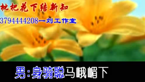 何丽芳 腾讯视频
