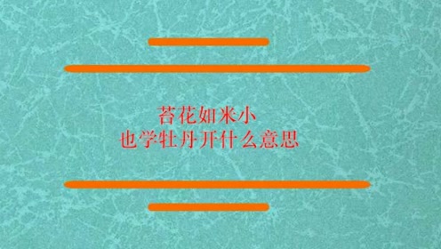 苔花如米小也学牡丹开什么意思 腾讯视频