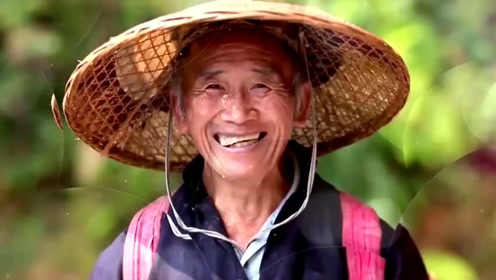 丰收陕西,看农民伯伯一脸笑容洋溢着幸福