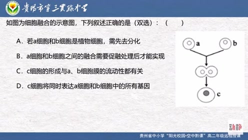 专题2 细胞工程 高中生物选修三 现代生物科技