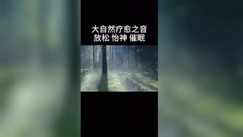 自然催眠 腾讯视频