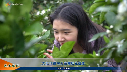 腾讯视频