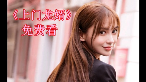 上门女婿叶辰免费电视剧全集