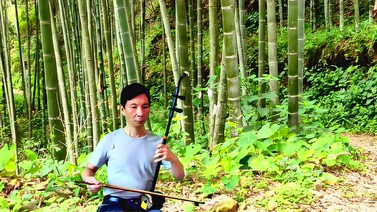 推荐老曾学二胡独奏《梦驼铃》纯音没有伴奏谢谢欣赏