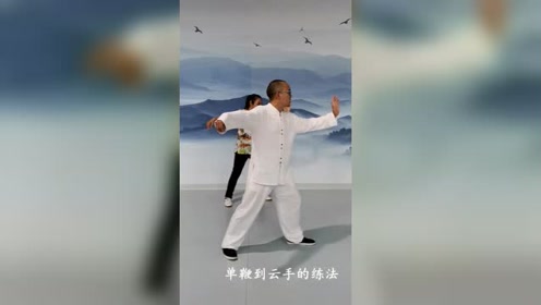 云手 单鞭 腾讯视频